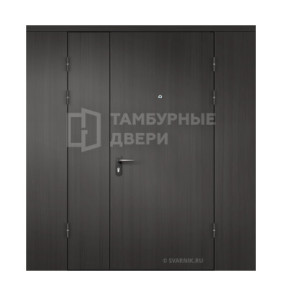 Дверь тамбурная глухая с перегородкой МДФ — скелет ТД-211